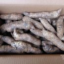 천마축산 이미지