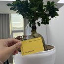 행복안마원 | [건강드림지압안마원 후기] 금정구 마사지, 어깨통증 잘 고치는, 허리통증 잘 고치는