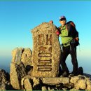 생의찬가 이미지