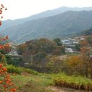 금계농로 이미지