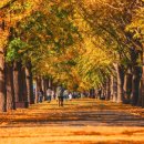 은행1공영주차장 이미지