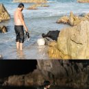 보물섬 이미지
