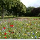 박플란트치과의원 이미지