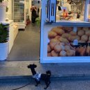 예뻐지개냥 이미지