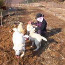 자연대로 이미지