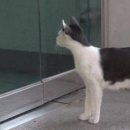 김명석농장 이미지