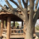 팔곡당산 산신당 및 산신제 이미지