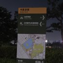 서호공원 | 수원 서호공원 5월 저녁산책 후기 | 조용히 걷기 좋았던 호수공원 야경 코스 🌙