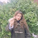 김로사 카카오 검색결과