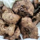 오르목장 이미지