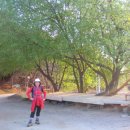 민통선농가집 이미지