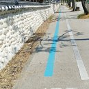 국토종주자전거길1-31 이미지