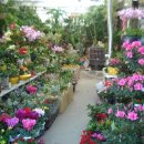 은혜화원 이미지