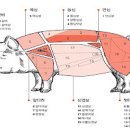 로스카츠 히레카츠 차이점 등심돈까스 안심돈까스 무엇이 다를까 이미지