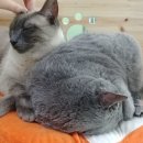 요술곰 동물원 이미지