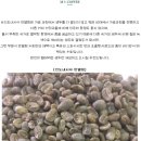 주명농장 | [엠아이커피] 인도네시아 와하나 만델링 G1