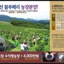 (주)블루베리코리아 이미지