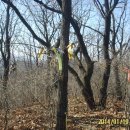 나원초등학교 이미지