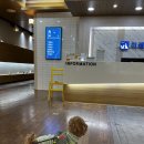 태평역 동물병원 이미지