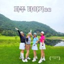 타이거cc 파주 골프장 솔직 후기 듀라벙커 생기고 확 달라졌어요