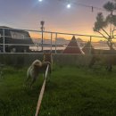 갬성드 애월 이미지