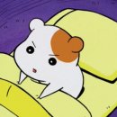 두드림정신과의원 | 금연보조제 챔픽스 (Champix) 내과에서 처방받은 후기 上 - 금연약과 챔픽스부작용