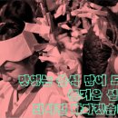 각종 문화행사 이미지