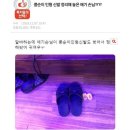 콩순이 인형 신발 정리해놓은 아기손님 이미지