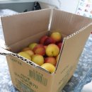 삼우농장 이미지