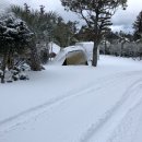 귤빛캠핑장 이미지