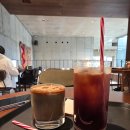 백운로 | [인천/빌리앤오티스] 고양이가 있고 애견동반 가능한 인천 대형카페 빌리앤오티스 내돈내산 후기