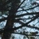 와인치과의원 이미지