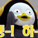 특허사무소공앤유
