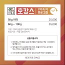 견복궁 | [경기 김포] 견복궁 :: 김포 애견카페 다녀온 후기 (김포 애견유치원, 애견호텔 프로그램 정보有)