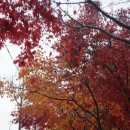 사랑애의원 이미지