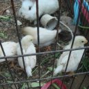 세한농장 이미지