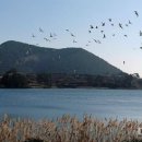 함덕리에 이미지