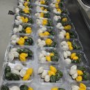 박상혜교수님의 k-food글로벌조리과 송편나눔행사 이미지