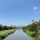 웨이브치과의원 이미지