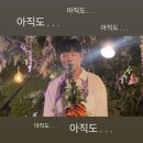 화노 | 251217 화노 @숲세권 라이브