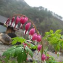 약초산방 이미지