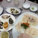 동백섬 | [부산 여행] 전현무계획 맛집 동백섬횟집 - 이시가리 회 코스 후기