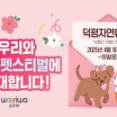 펫스티벌 이미지