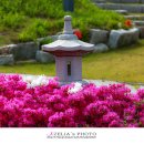 화랑마을-4 이미지