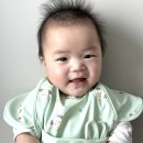 (주)강윤 | 아기턱받이 마롤로뜨 이유식 외출준비물