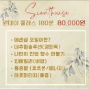 원데이클래스 이미지