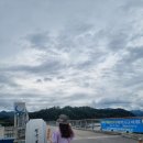 강변시민공원 공도교 벤치 옆 | 칠곡보생태공원 천천히 걷기.