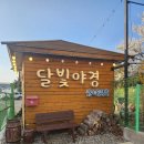 달빛야경 | 경기 화성 아이들과 가기 좋은 실내 캠핑장 추천, 수원달빛야경 내돈내산 후기