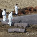 김정남농장 이미지