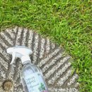 그린세탁나라 이미지